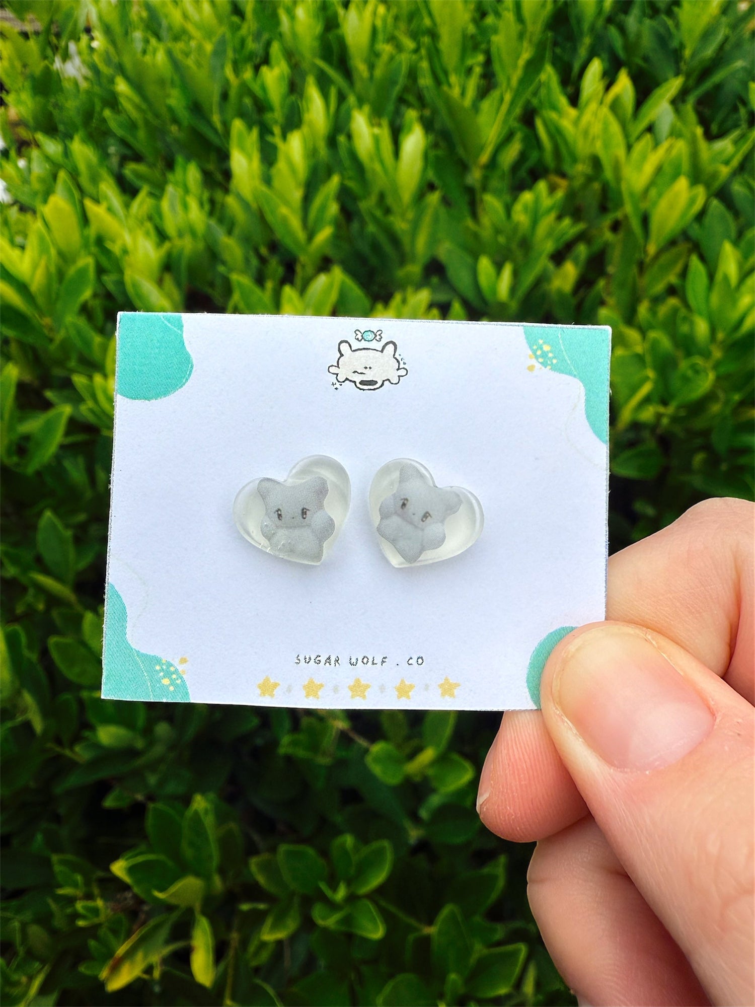 Earrings